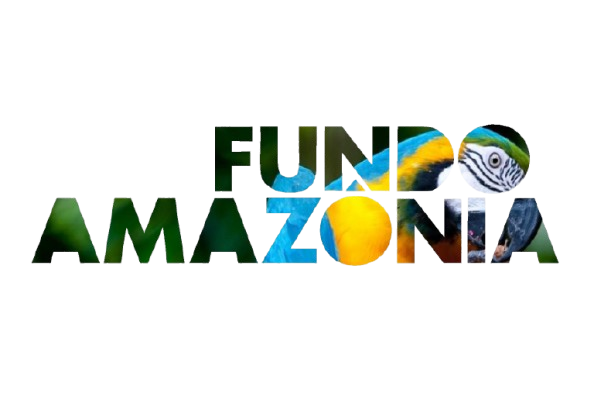 Logo-arara-removebg-preview