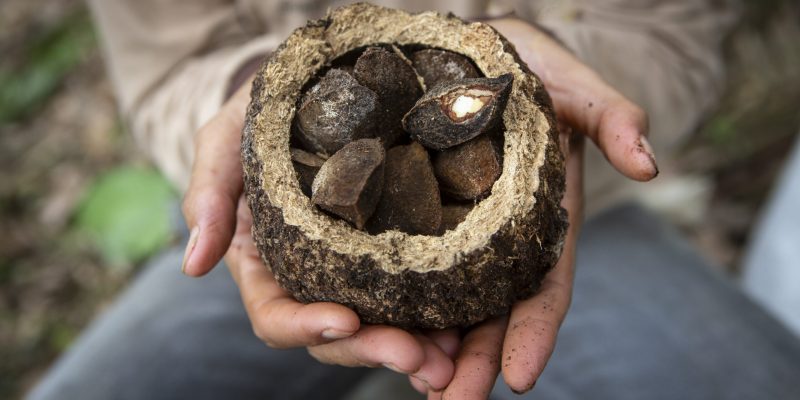 Foto: Fernando Martinho