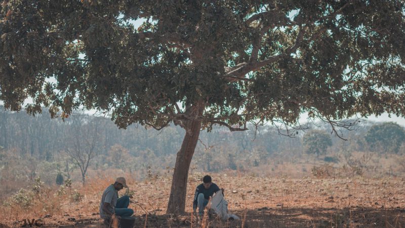 Foto: Jovens Vivendo no Campo / Grupo Semente